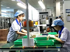 海曙紀事 8月工程機械技術研發(fā)新突破